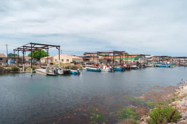 La Casa Tranquilia Chez Vero Et Jj Studio A Marseillan エクステリア 写真