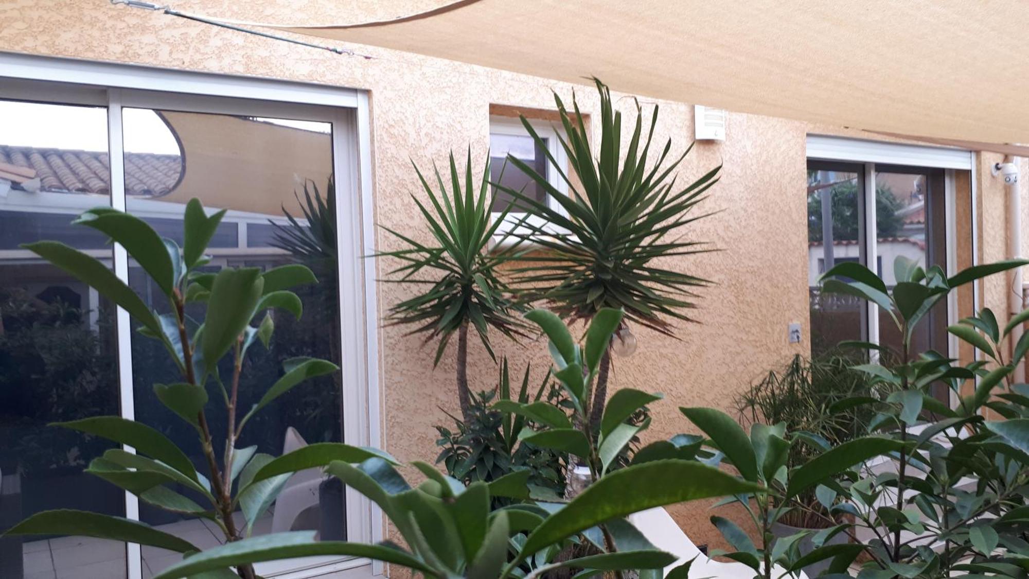 La Casa Tranquilia Chez Vero Et Jj Studio A Marseillan エクステリア 写真